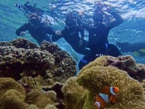 ☆カクレクマノミ発見！