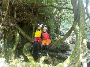 Commemorative photo taken in a beautiful forest