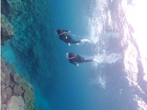 スキンダイビング（素潜り）を楽しみながら瀬底島の美しい珊瑚礁を満喫