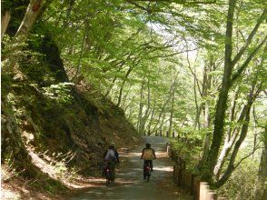 大自然のサイクリング