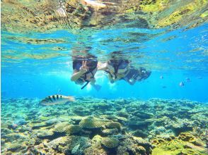 ■時間たっぷり2エントリー・シュノーケリング