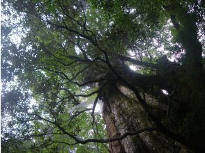 淀川登山口を出発