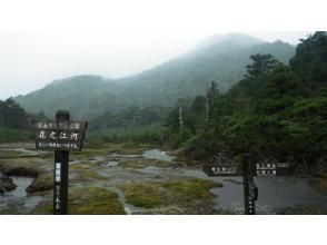 高層湿原花之江河へ到着