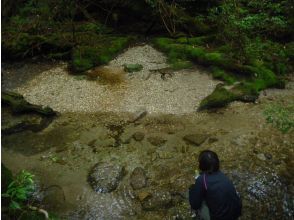 最後まで淀川で癒されて
