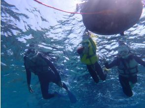 海の中での体験・観察