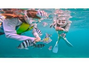 snorkeling