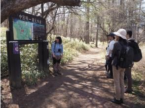 戦場ヶ原へ出発！