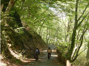 大自然のサイクリング