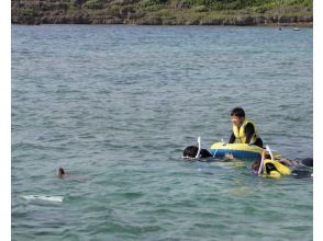 Sea turtle spotted!