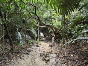 9:10/13:10 [Jungle exploration to the Blue Cave]
