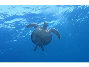 10:45/14:45 [End of snorkeling]