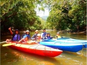 Canoe tour (45 minutes)