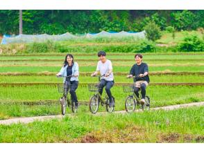 การสลายตัว