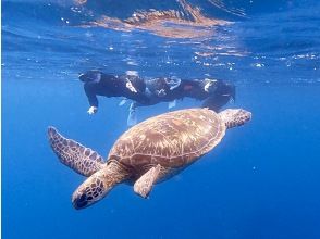 透明度抜群の海でシュノーケル