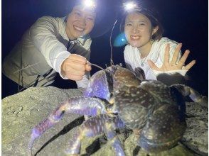 你甚至可能看到椰子蟹！