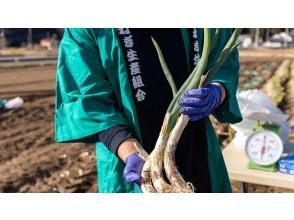 宇都宮市【新里圃場】