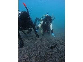 水中散歩をお楽しみください。