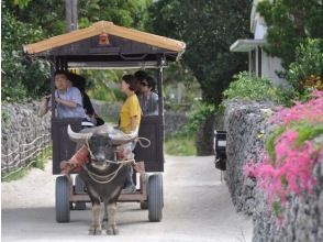 竹富島　フリータイム
