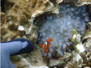 Nature experience snorkeling experience