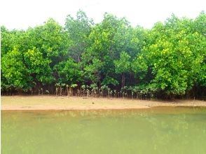 現地集合