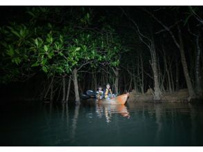 Kayaking experience