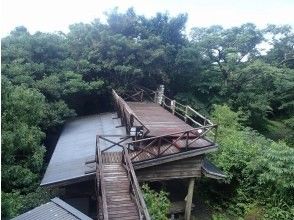 キャノピーウォーク体験開始