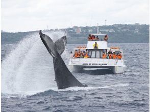 ウォッチング開始