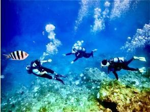 Slow swimming and diving experience ⑥
