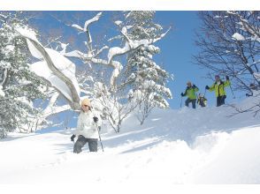 Descending a snowy slope