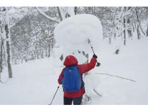 Observe the snow formations