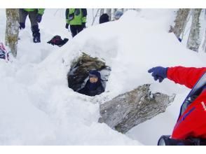 Observing hibernation holes