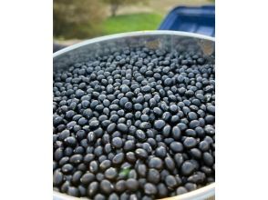 Farming experience [Chigasaki Satoyama Park] Nearby farms