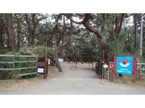 昼食【ちがさき柳島キャンプ場】