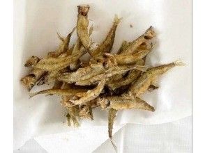 Freshly caught fish will be prepared into tempura and served to you.