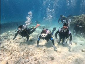 ダイビングスタート