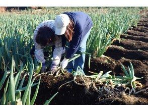 農業体験【ろまんちっくファーム】