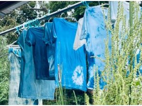 【Saiai Studio】ー藍染工房ー