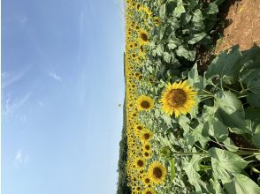 カフェ到着！！