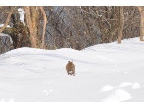 You can also meet cute animals ♪