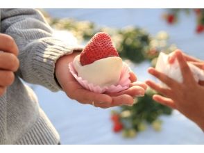 体験会場①【道の駅ましこ】