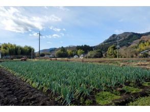 宇都宮市【新里圃場】