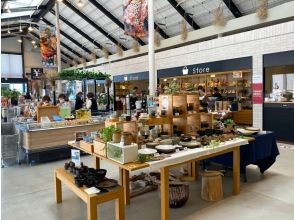 在 Miocamino 购物