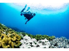 在海里是最棒的！！