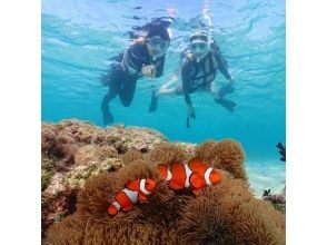 We will take lots of photos other than sea turtles!