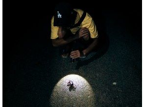 ナイトウォッチング！