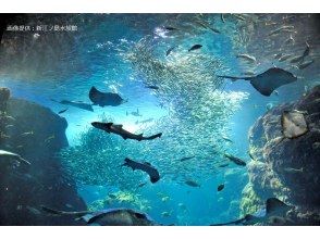 2日目【新江ノ島水族館】