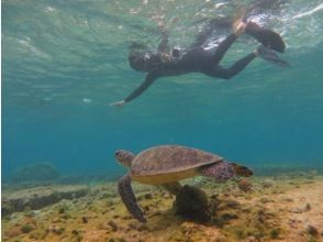 ウミガメとシュノーケル！