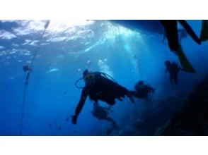 6. 水中を遊泳しながら、ダイビングを満喫