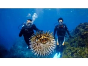 8.思い出水中写真撮影タイム