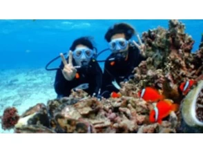 9. ダイビングを楽しみます